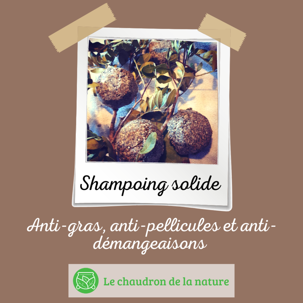 shampoing solide homme anti pellicule & anti démangeaisons