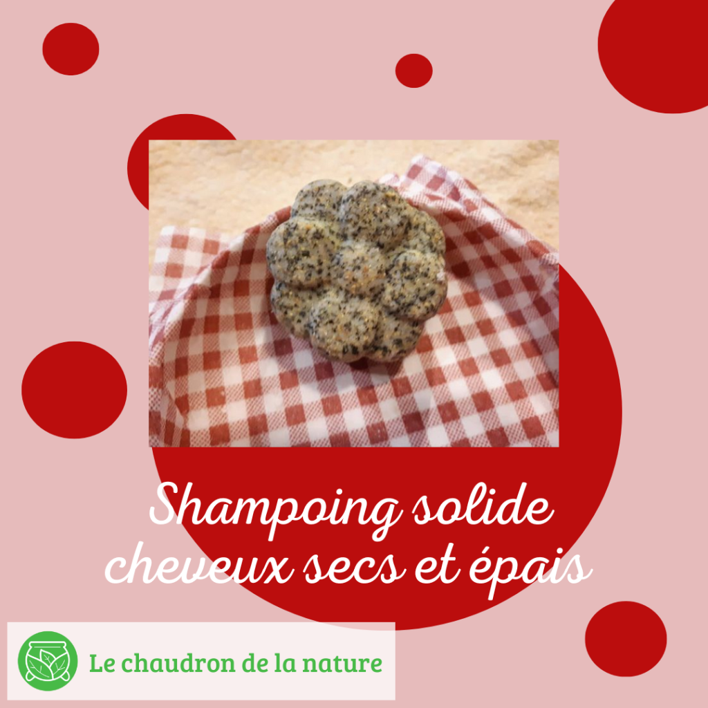 shampoing solide pour cheveux secs et épais