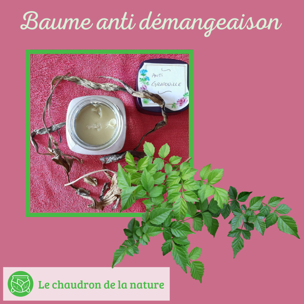 BAUME ANTI DEMANGEAISON POUR CHIEN