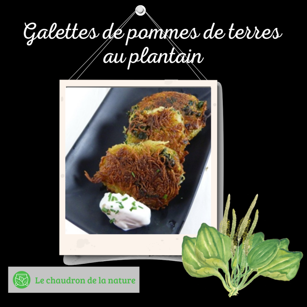 Galettes de pommes de terres au plantain