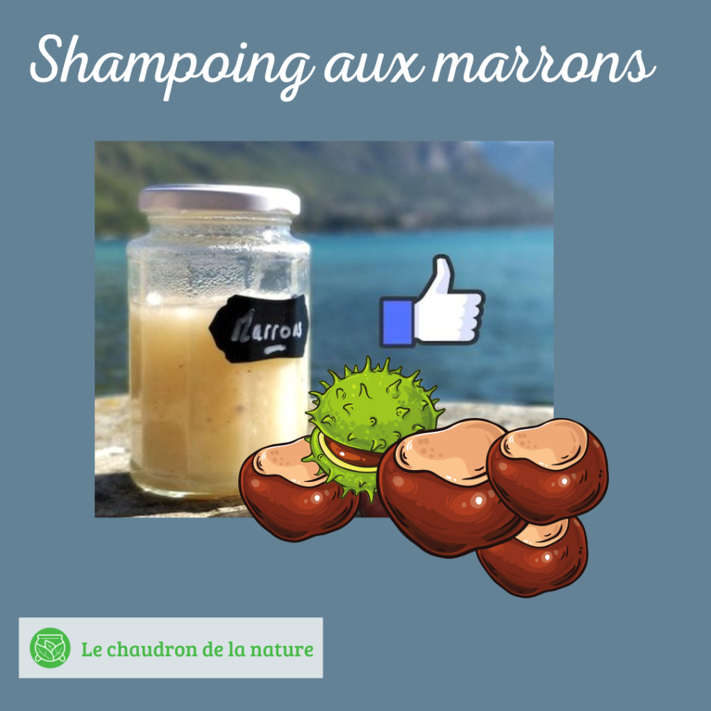 Shampoing aux marrons