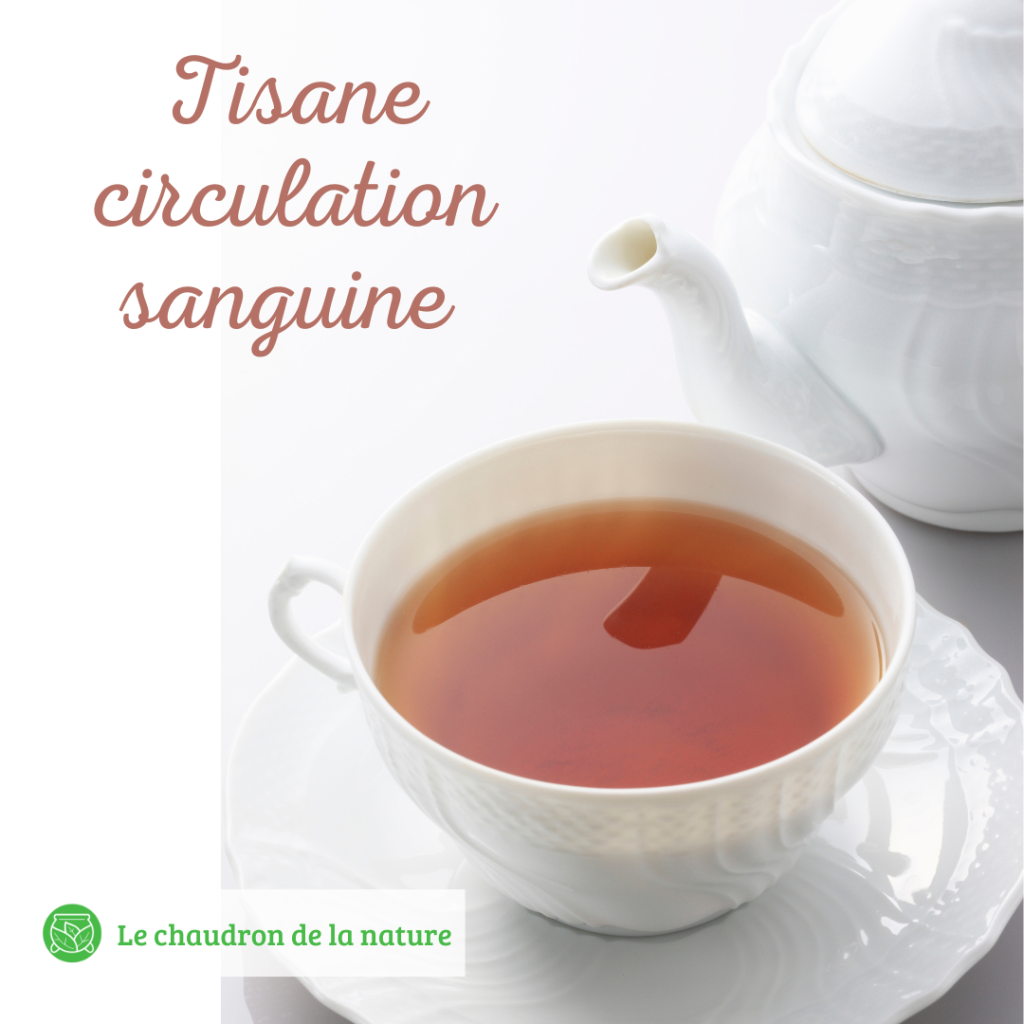 Tisane circulation sanguine