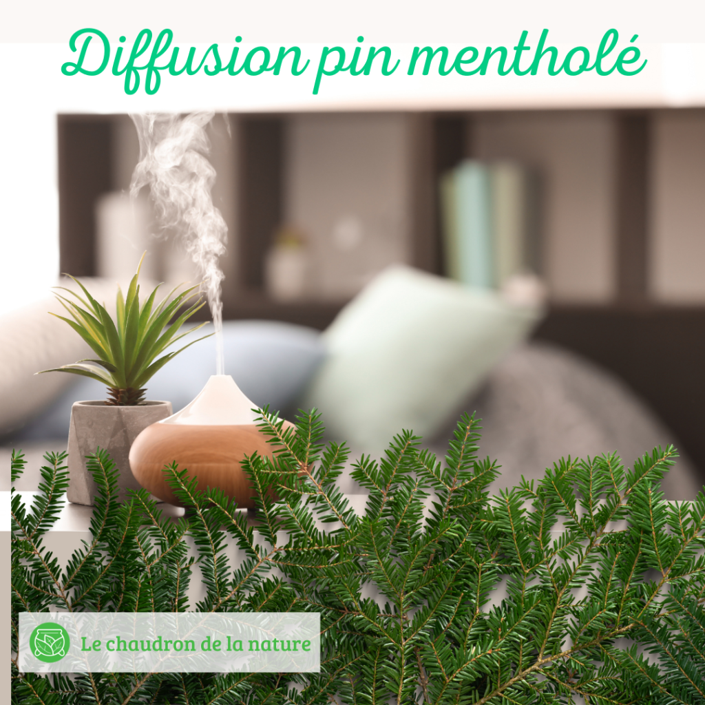 Diffusion pin mentholé