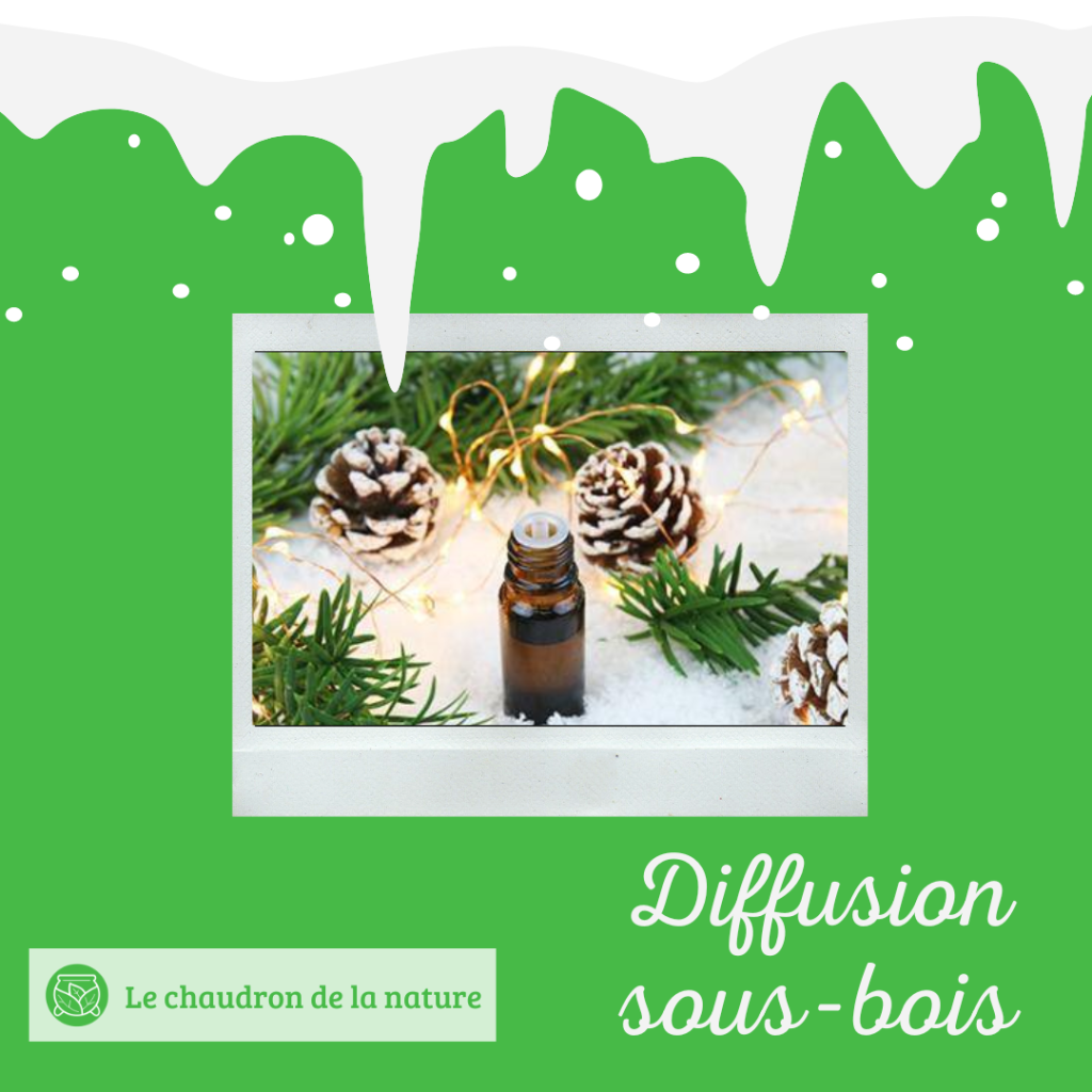 Diffusion sous-bois