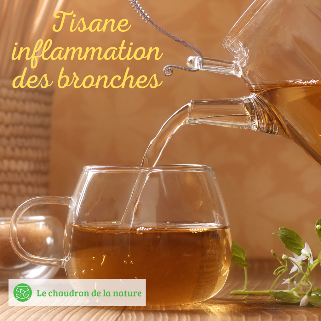 Tisane inflammation des bronches