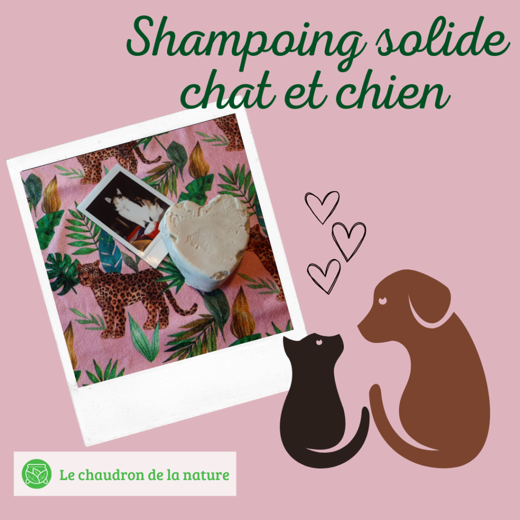 shampoing solide chat et chien