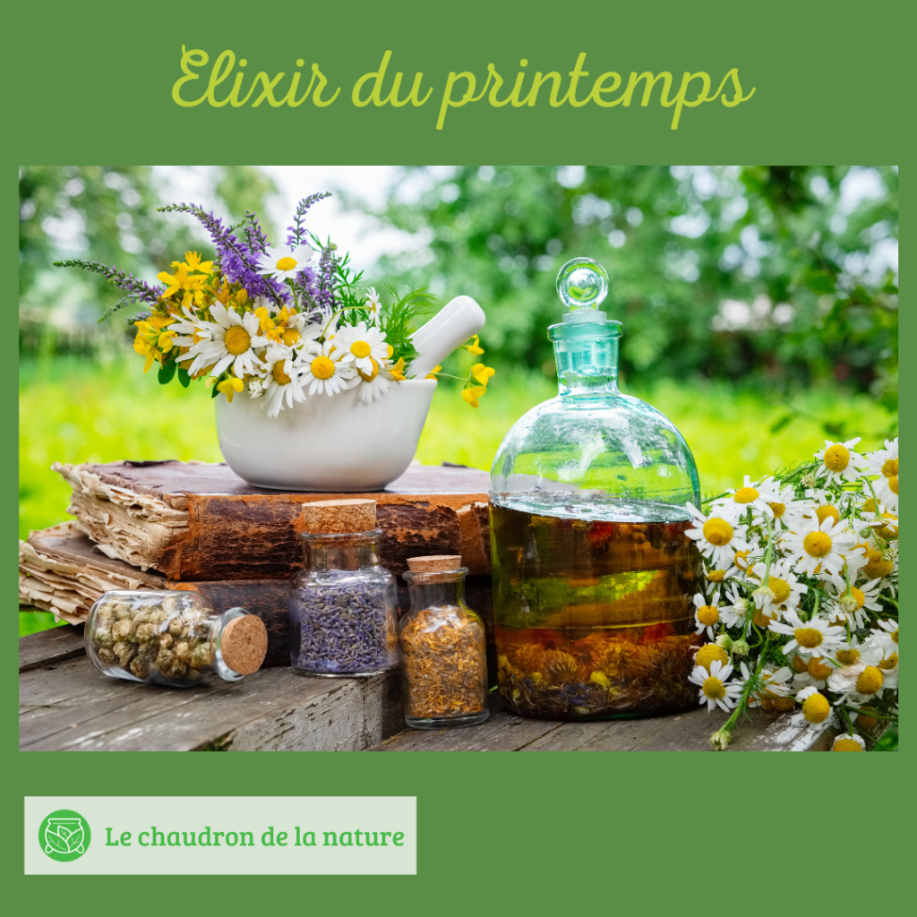 Elixir du printemps