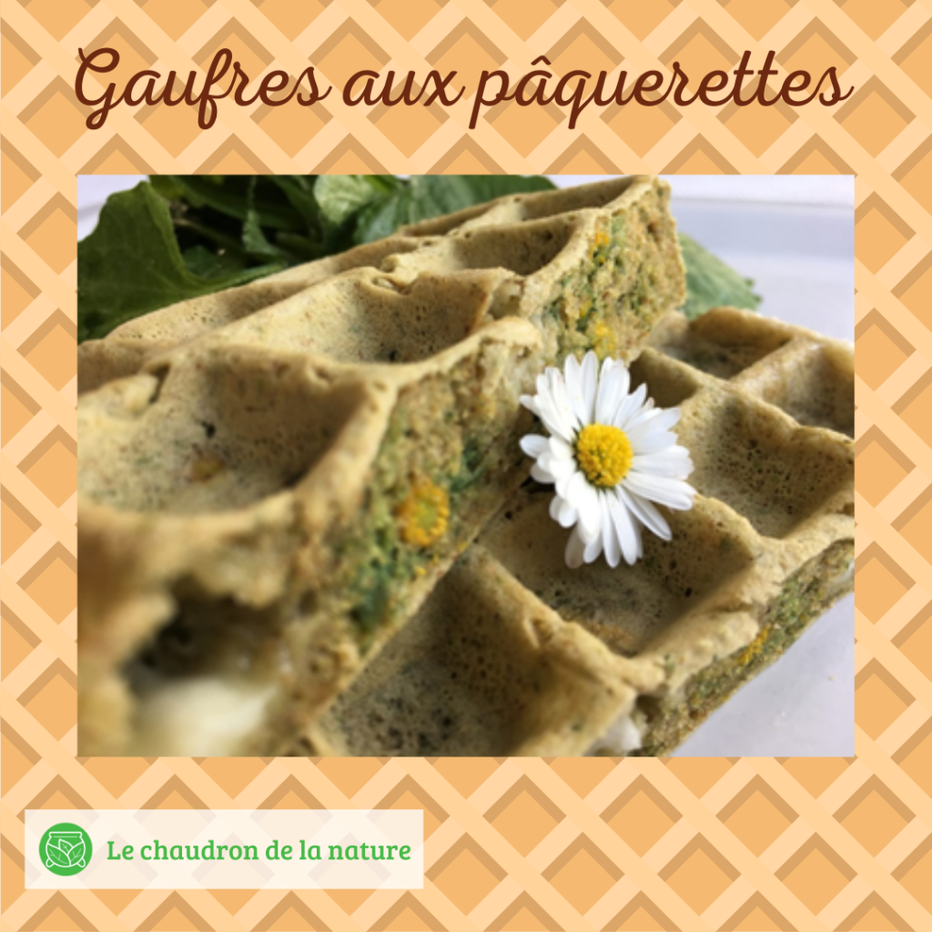 Gaufres aux pâquerettes