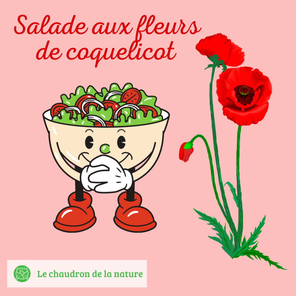 Salade aux fleurs de coquelicot