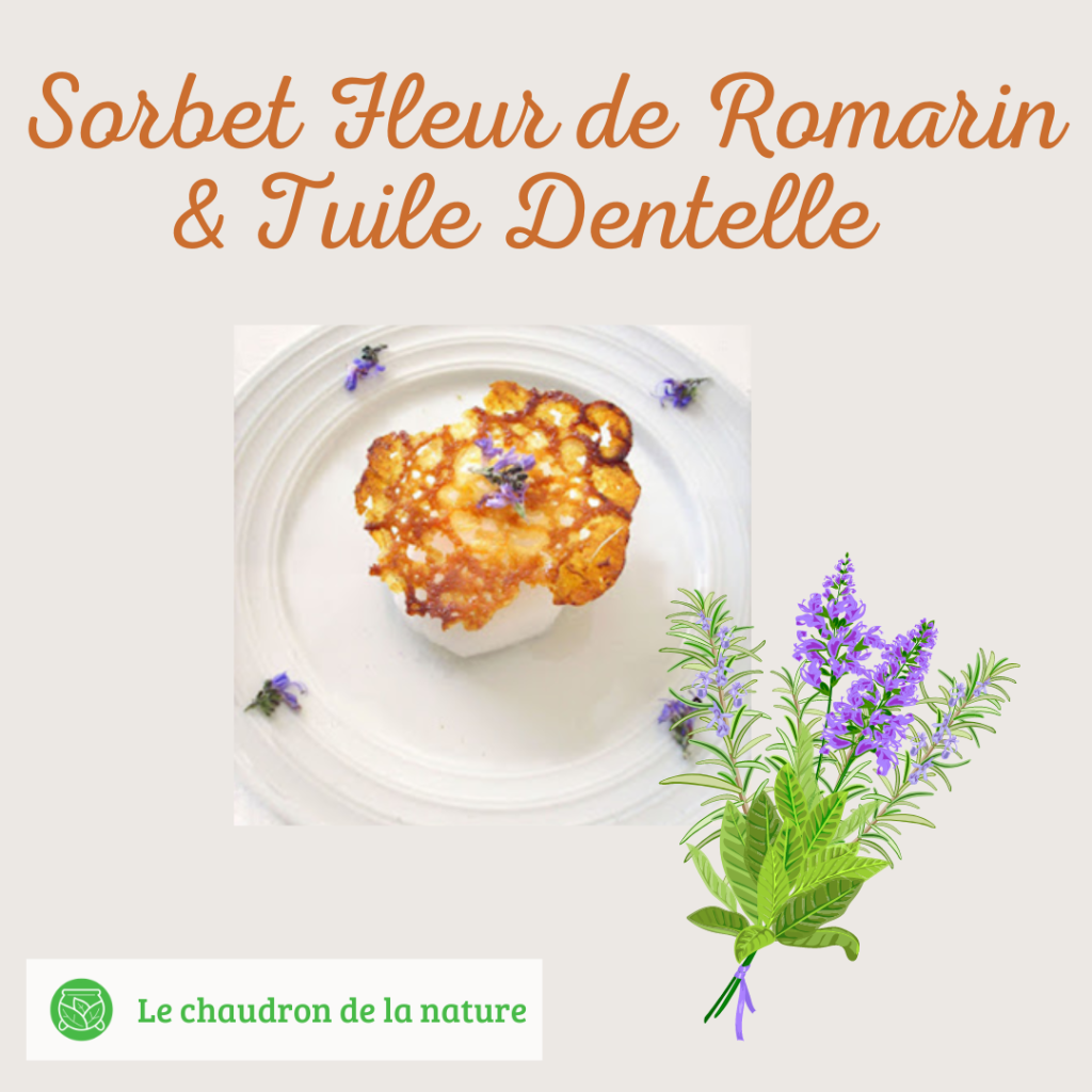 Sorbet Fleur de Romarin & Tuile Dentelle