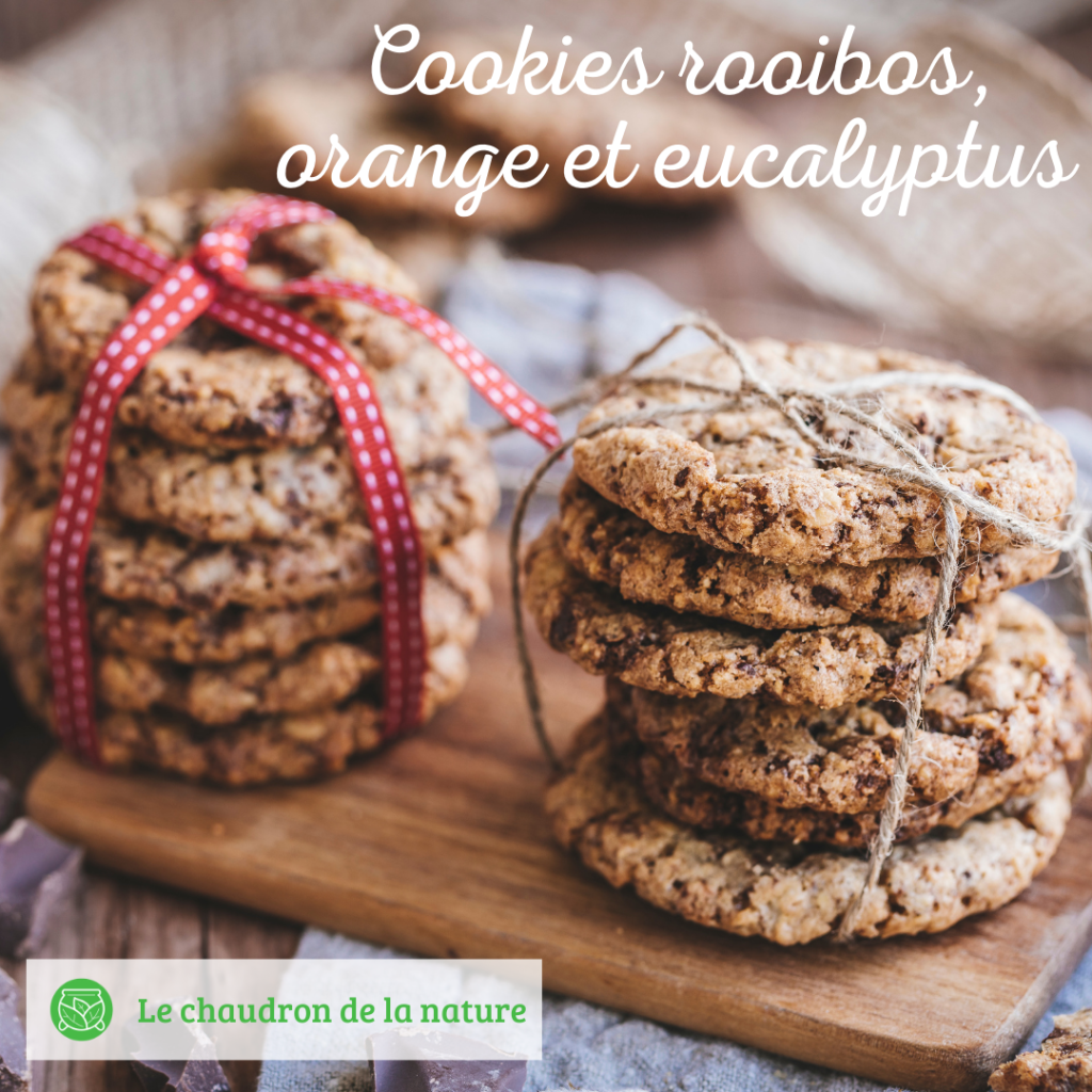 Cookies rooibos, orange et eucalyptus
