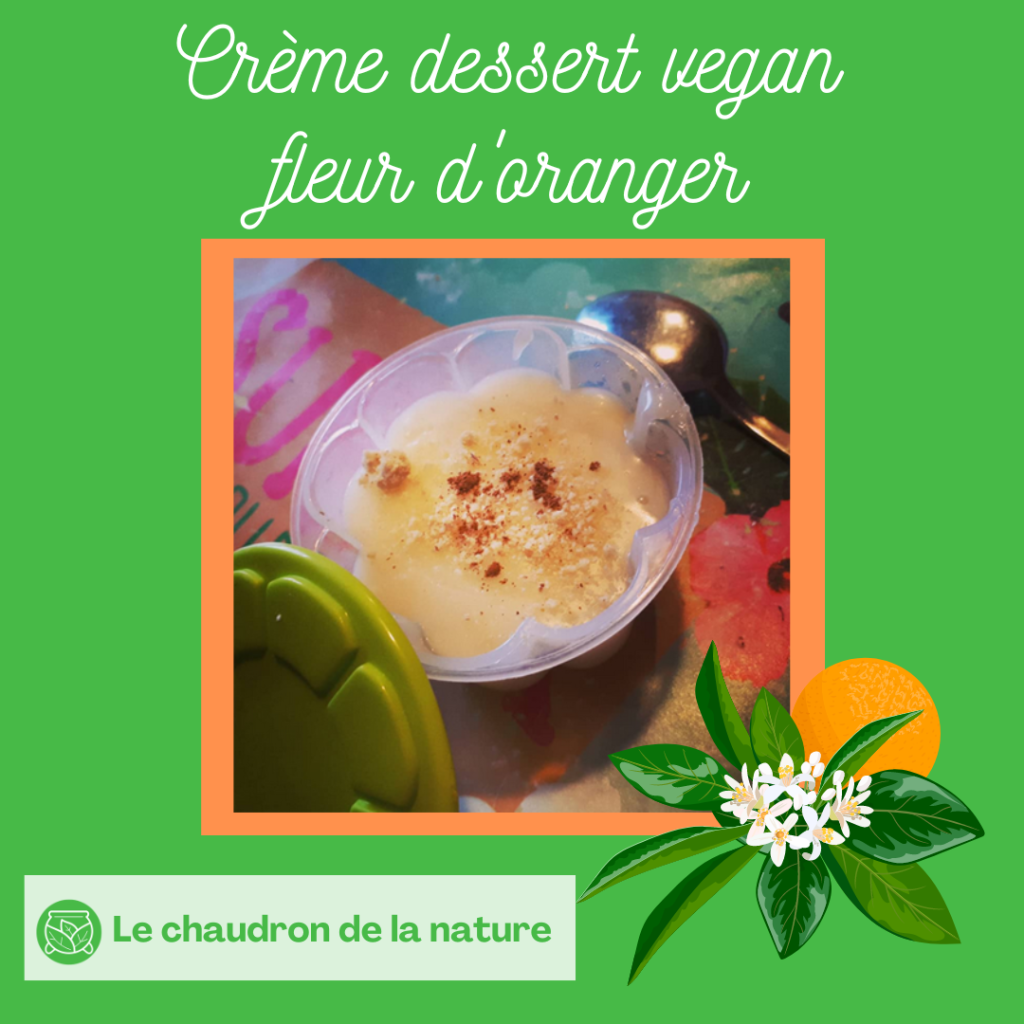 Crème dessert vegan fleur